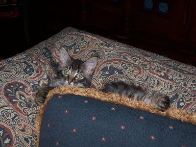 Tony Behind Lakehouse Pillow