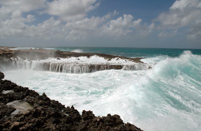 Magnificent Waves