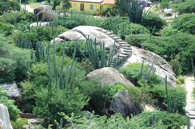 Rocky Park