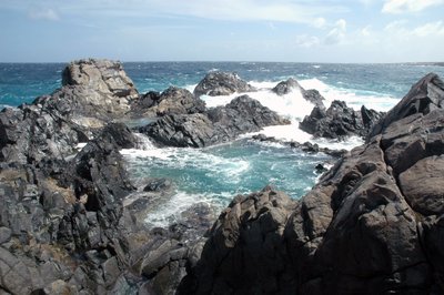 Tidal Pool