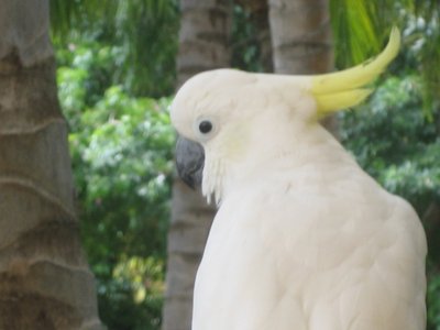 Hotel Bird