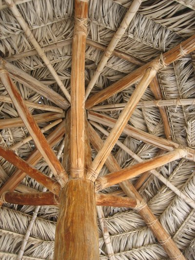 Frond Roof