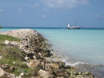 Shore