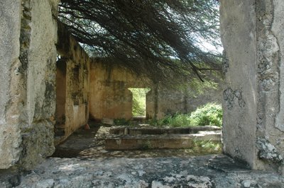 Gold Mine Ruins