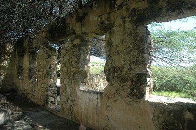 Gold Mine Ruins