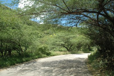 Country Road