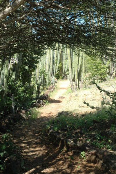 Park Path