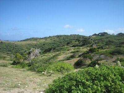 Park Area